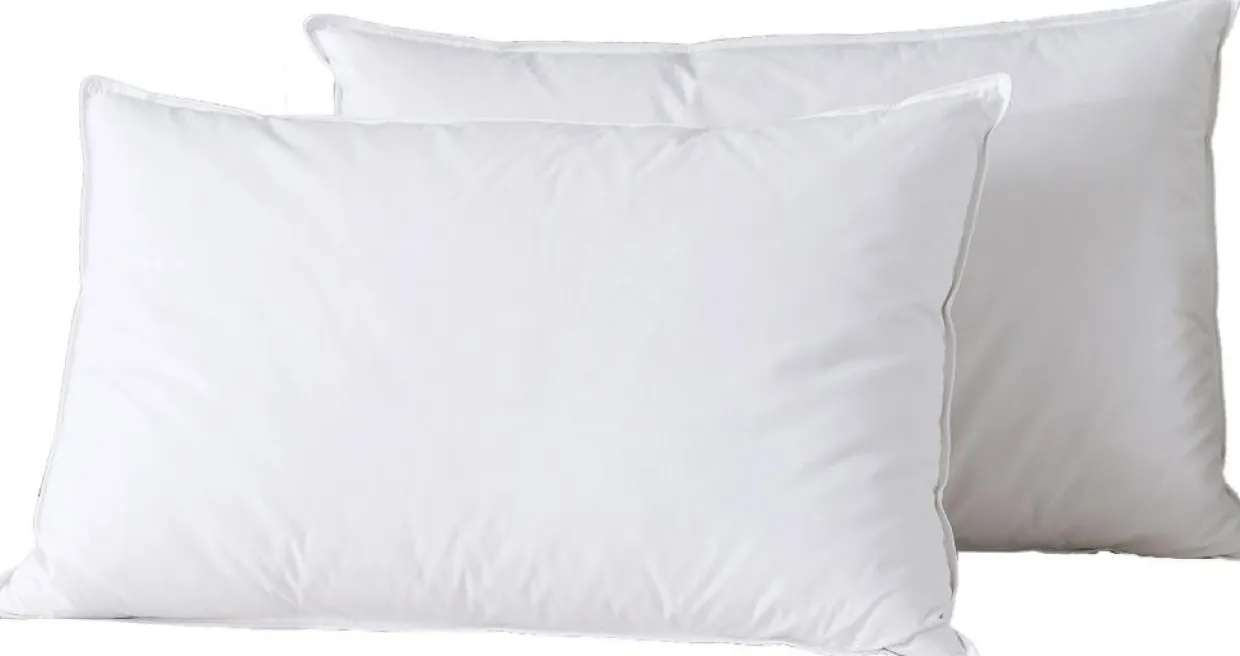 Home Collection Oreillers^2 Oreillers en Plumes blancs