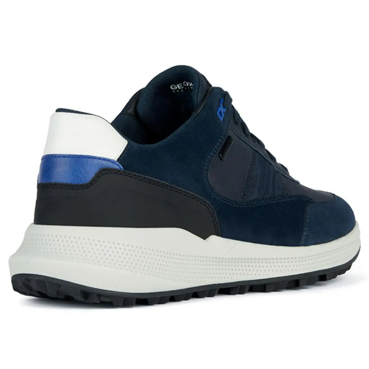 Homme Geox Baskets^Baskets bleu marine