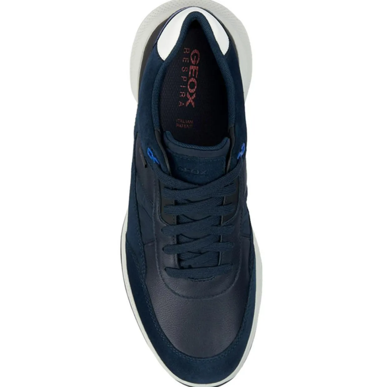 Homme Geox Baskets^Baskets bleu marine