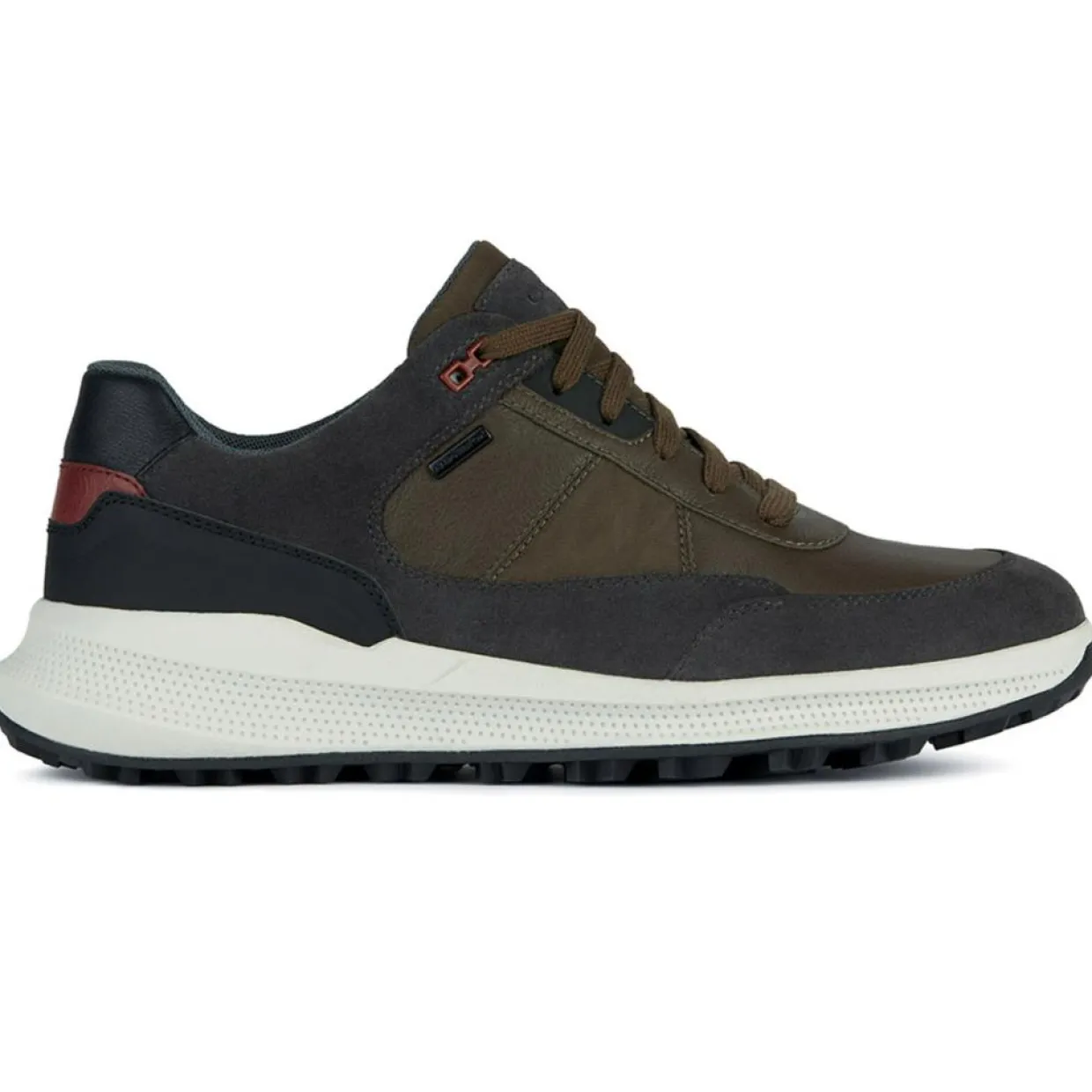 Homme Geox Baskets^Baskets kaki