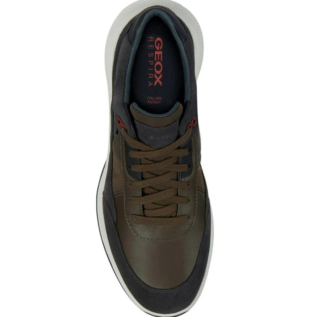 Homme Geox Baskets^Baskets kaki