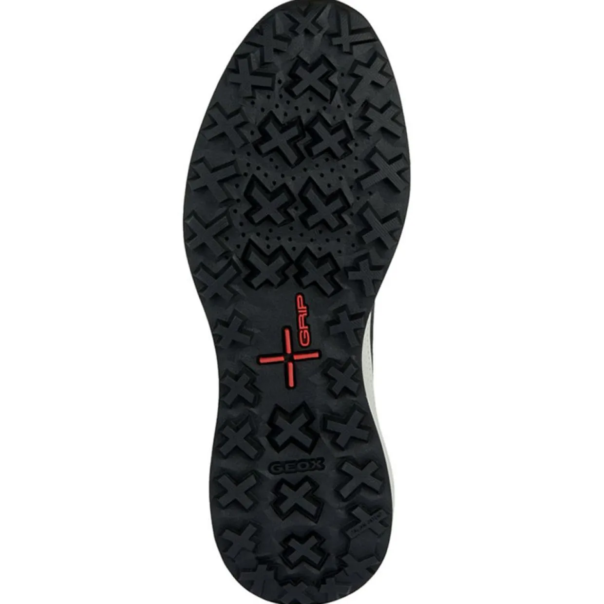 Homme Geox Baskets^Baskets kaki