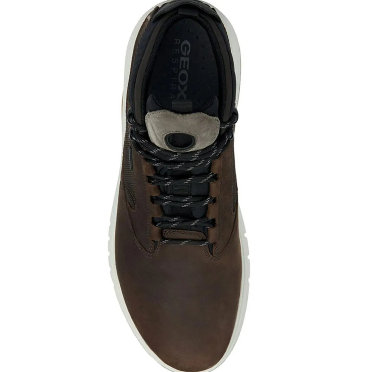Homme Geox Baskets^Baskets Aerantis marron foncé