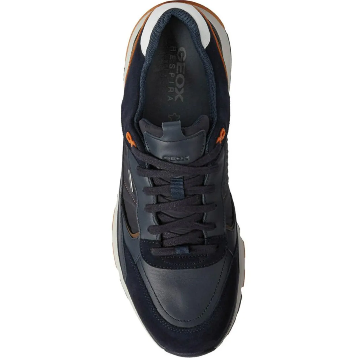 Homme Geox Baskets^Baskets en Cuir Dolomia bleu marine