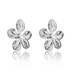 Boucles d'oreilles Zavira argentées-Amelia Parker Clearance