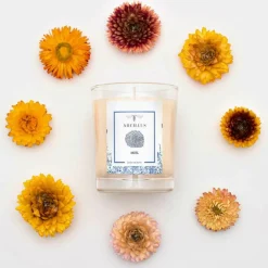 Abeillus Bougies^Bougie parfumée Jardin en hiver Miel ivoire - 45h