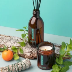 Bougie parfumée Menthe Basilic - 150g-Compagnie de Provence