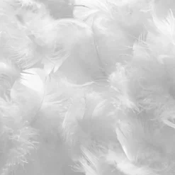 Hypsom Couettes^Couette Natura Duvet & Plumes blanche - 140x200 cm