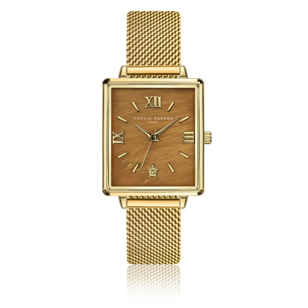 Montre Femme Boracay en Acier dorée-Amelia Parker