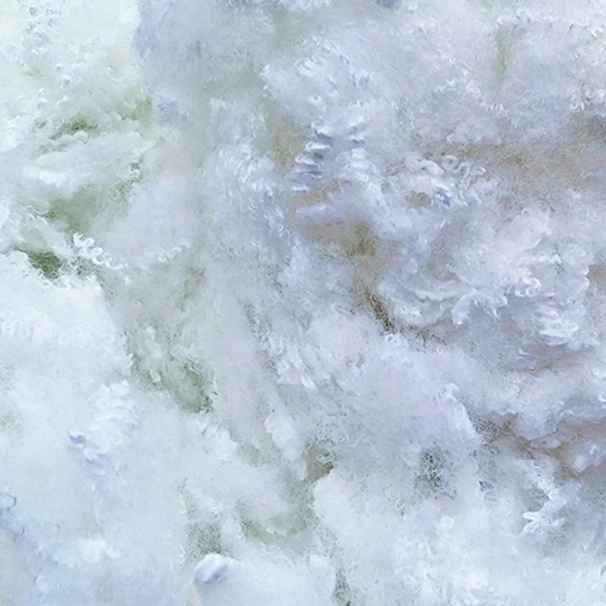 Oreiller Fibres creuses Alaska blanc - 65x65 cm-Hypsom Clearance