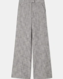 Femme Tara Jarmon Pantalons^Pantalon en tissu flammé gris