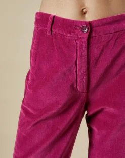 Pantalon en Velours Perfect magenta-Hartford Best