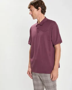 Homme Hackett London Polos^Polo Aston Martin Racing bordeaux