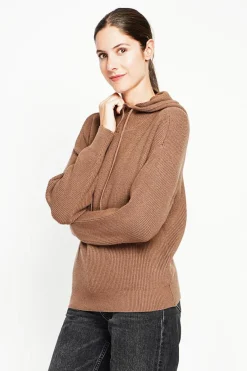 Femme Assuili Pulls^Pull à capuche marron