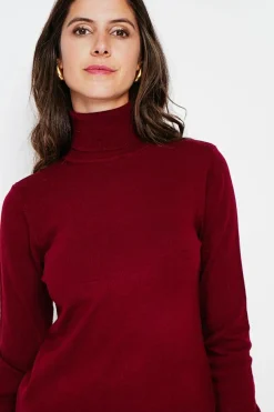 Pull col roulé classique bordeaux-Assuili Discount
