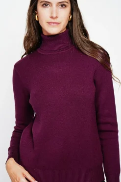 Pull col roulé fourré bordeaux-Assuili Best