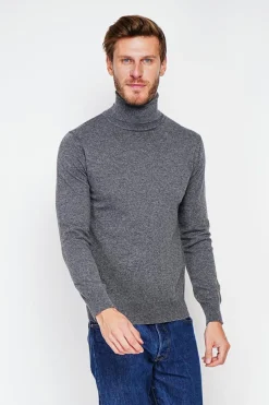 Pull col roulé loup-C&Jo Best