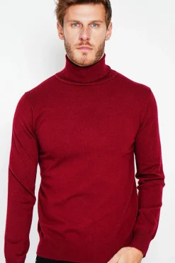 Pull col roule bordeaux-C&Jo Best