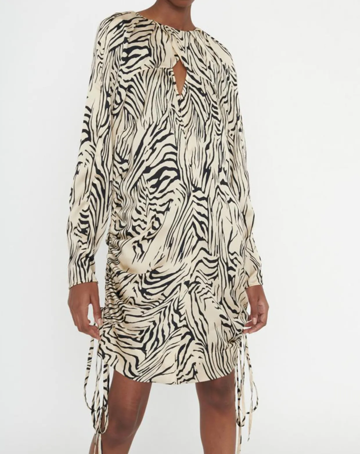 Femme Zapa Robes^Robe Robert imprimée zèbre noir/beige